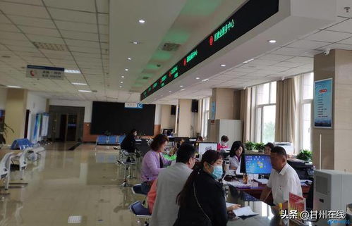 擰緊監管閥門，營造公平就業環境——甘州區人社局規范職業中介活動紀實