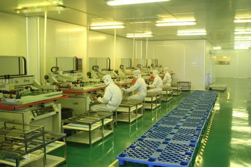 中共湛江市委十一屆十次全會(huì)工作報(bào)告要點(diǎn) 深化人力資源服務(wù)，規(guī)范職業(yè)中介活動(dòng)，賦能高質(zhì)量發(fā)展