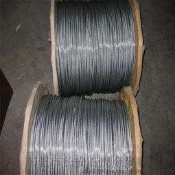 高品質不銹鋼鋼絲繩 304/316L材質與多樣化選擇，盡在東莞石虎金屬